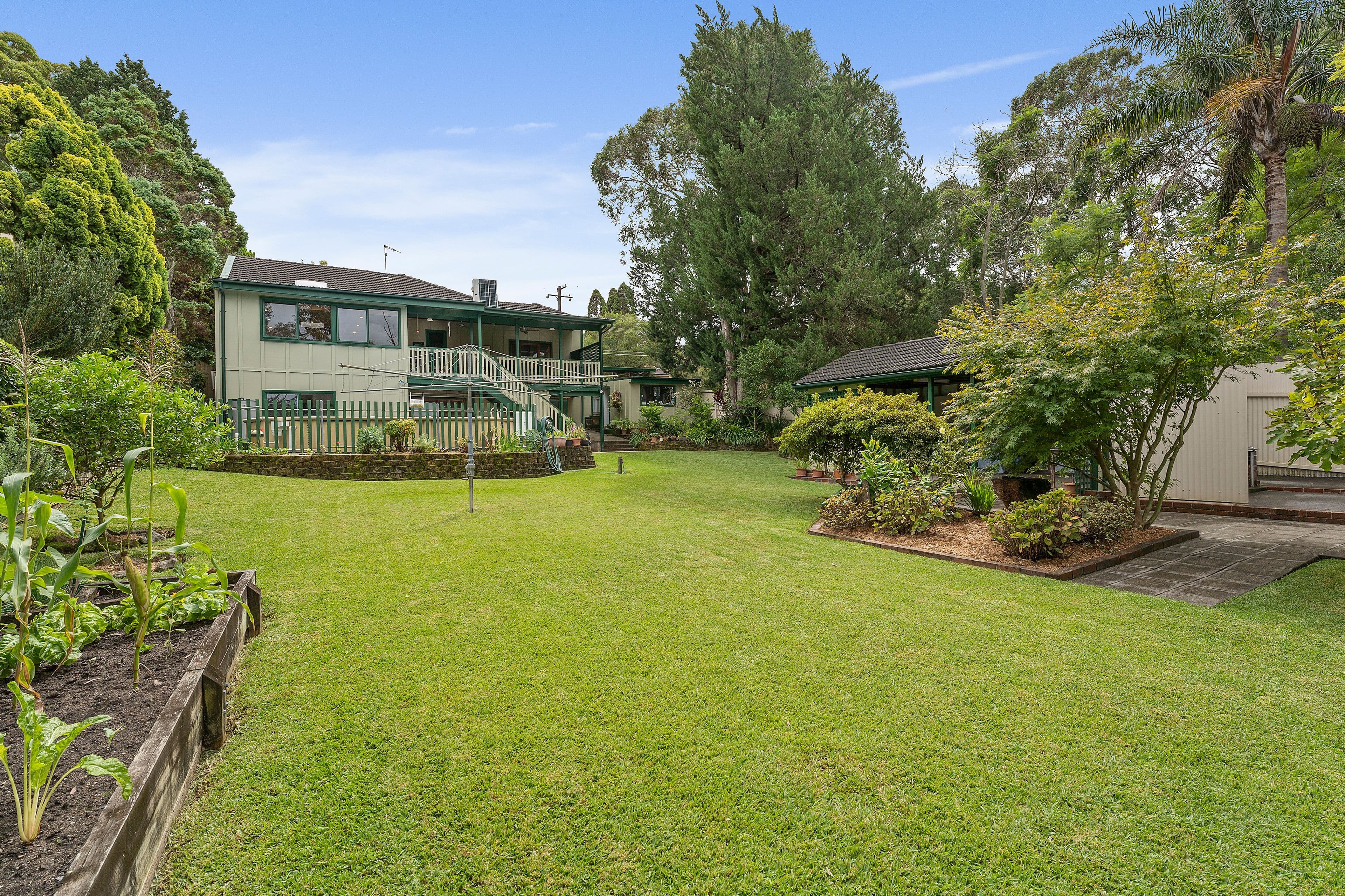 56 Hillcrest Avenue, Hurstville Grove NSW 2220, Hurstville Grove - Thumbnail 3