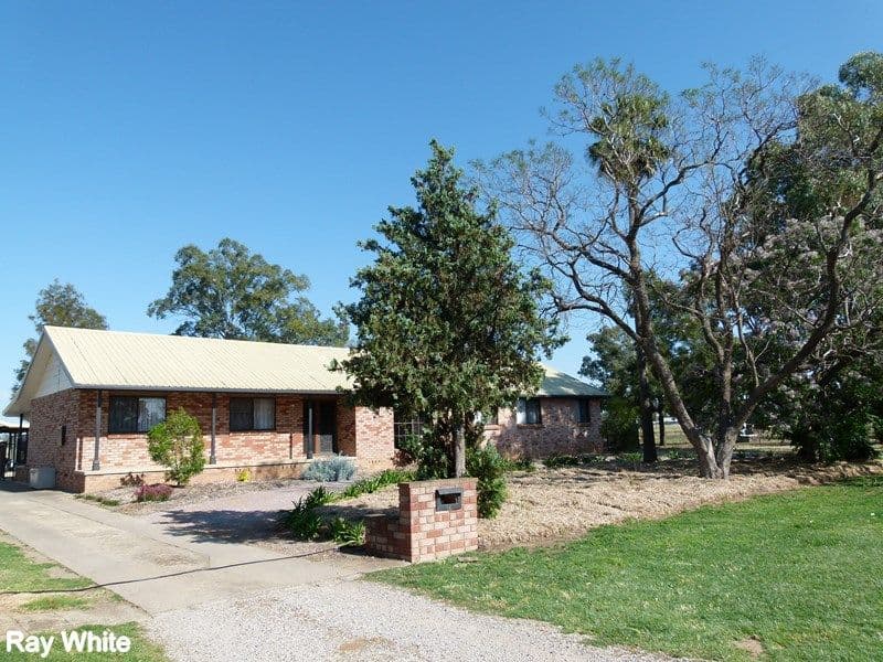 97-99 Wambat Street, FORBES NSW 2871, Forbes - Image 1