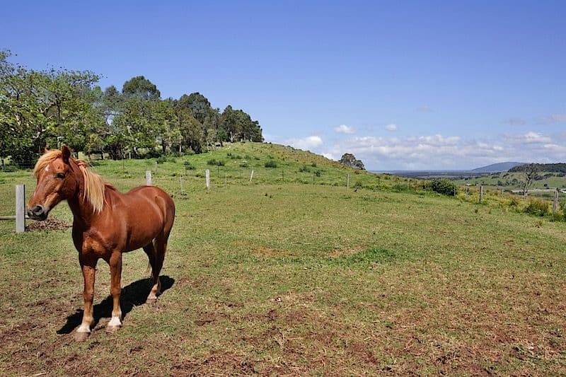 9 Willowvale Road, Gerringong - Thumbnail 5