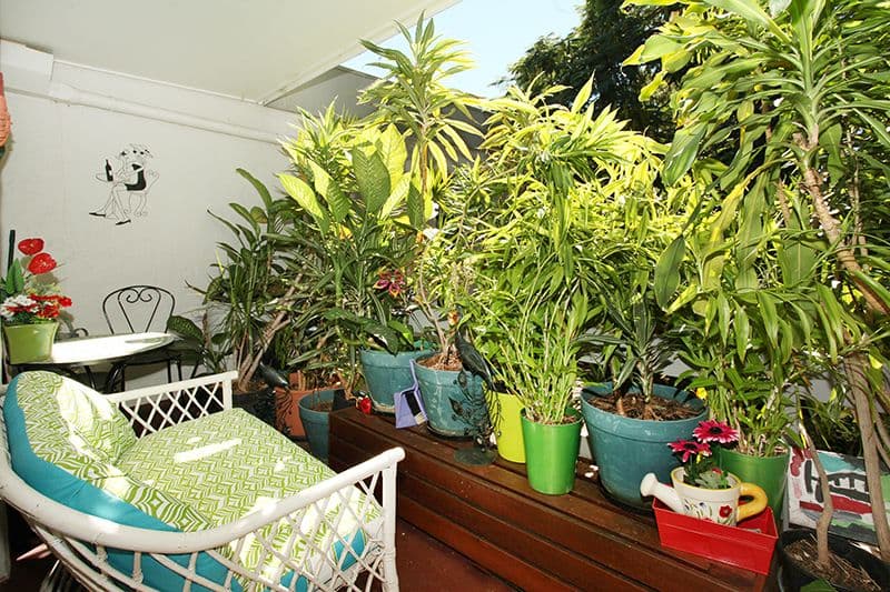11 Bradman Avenue, Maroochydore QLD 4558, Maroochydore - Thumbnail 5