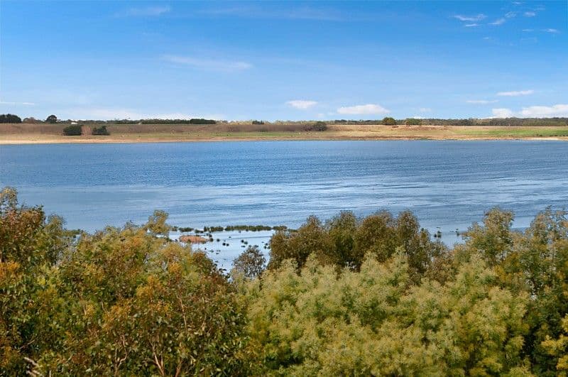 297 Cobden South Ecklin Road, ELINGAMITE VIC 3266, Elingamite North - Thumbnail 2
