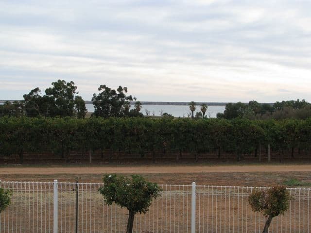 Sec 435 McKenzie Road, BARMERA SA 5345, Barmera - Thumbnail 8
