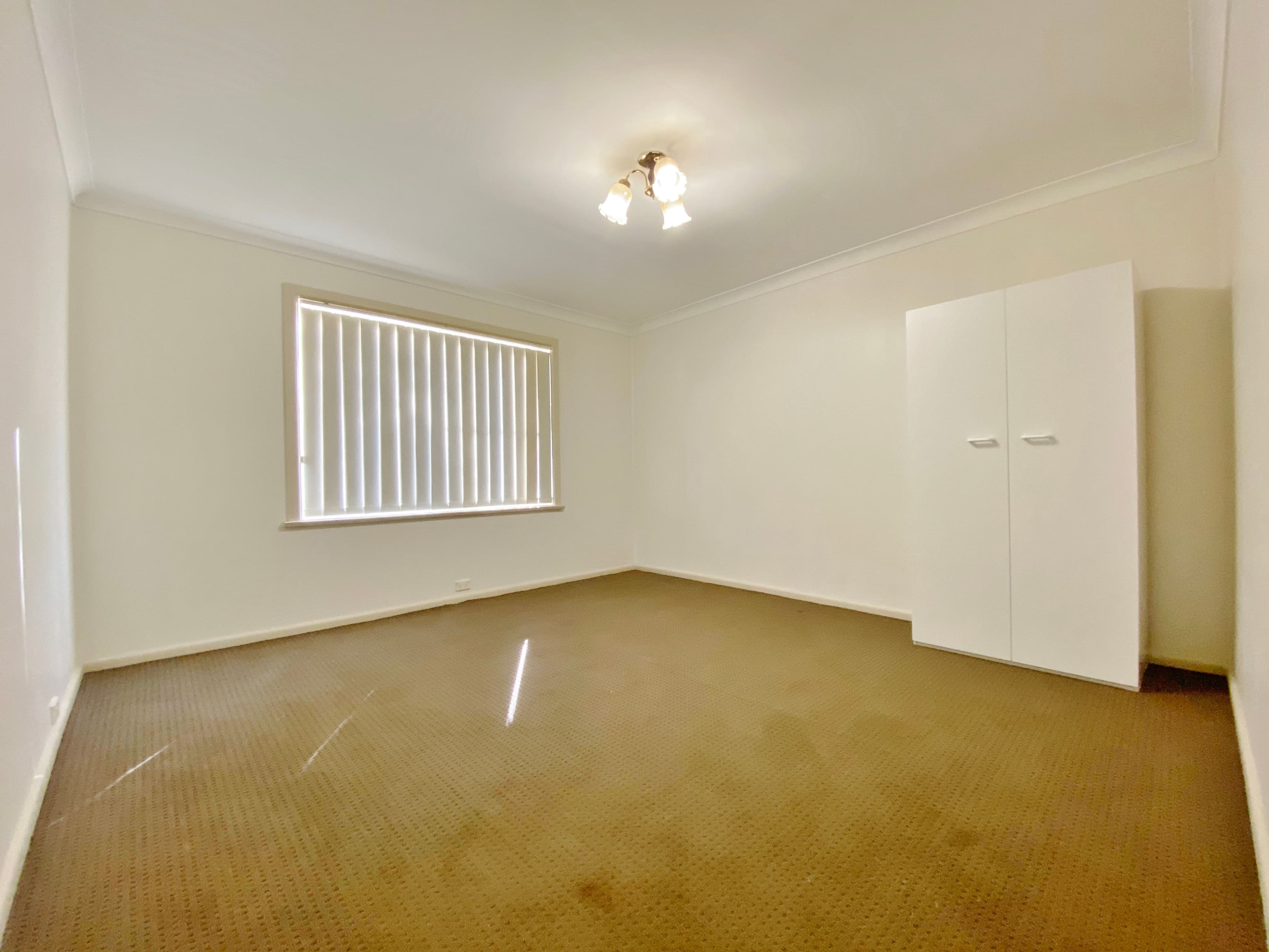 20 William Street, Young NSW 2594, Young - Thumbnail 8