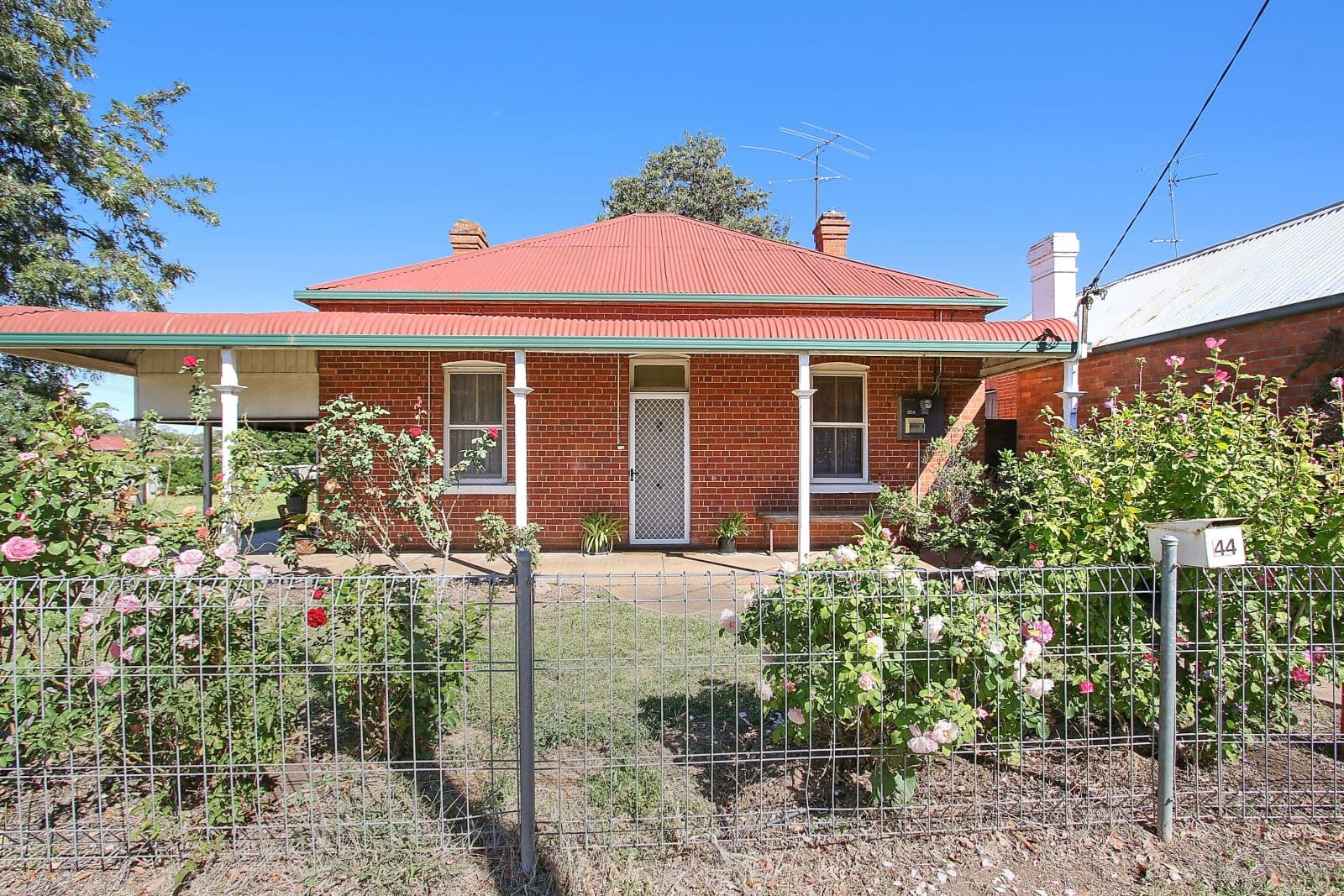 44 Allan Street, Henty NSW 2658, Henty - Image 1