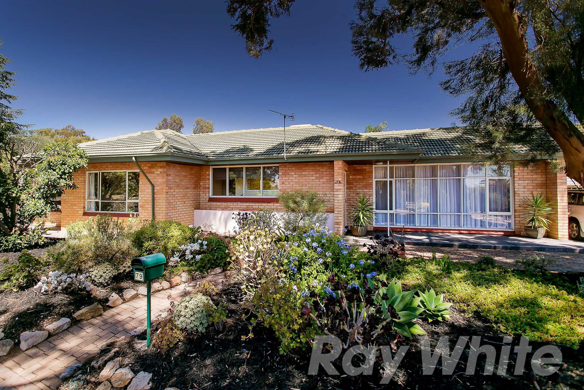 79 Quinlan Avenue, Pasadena SA 5042, Pasadena - Image 1