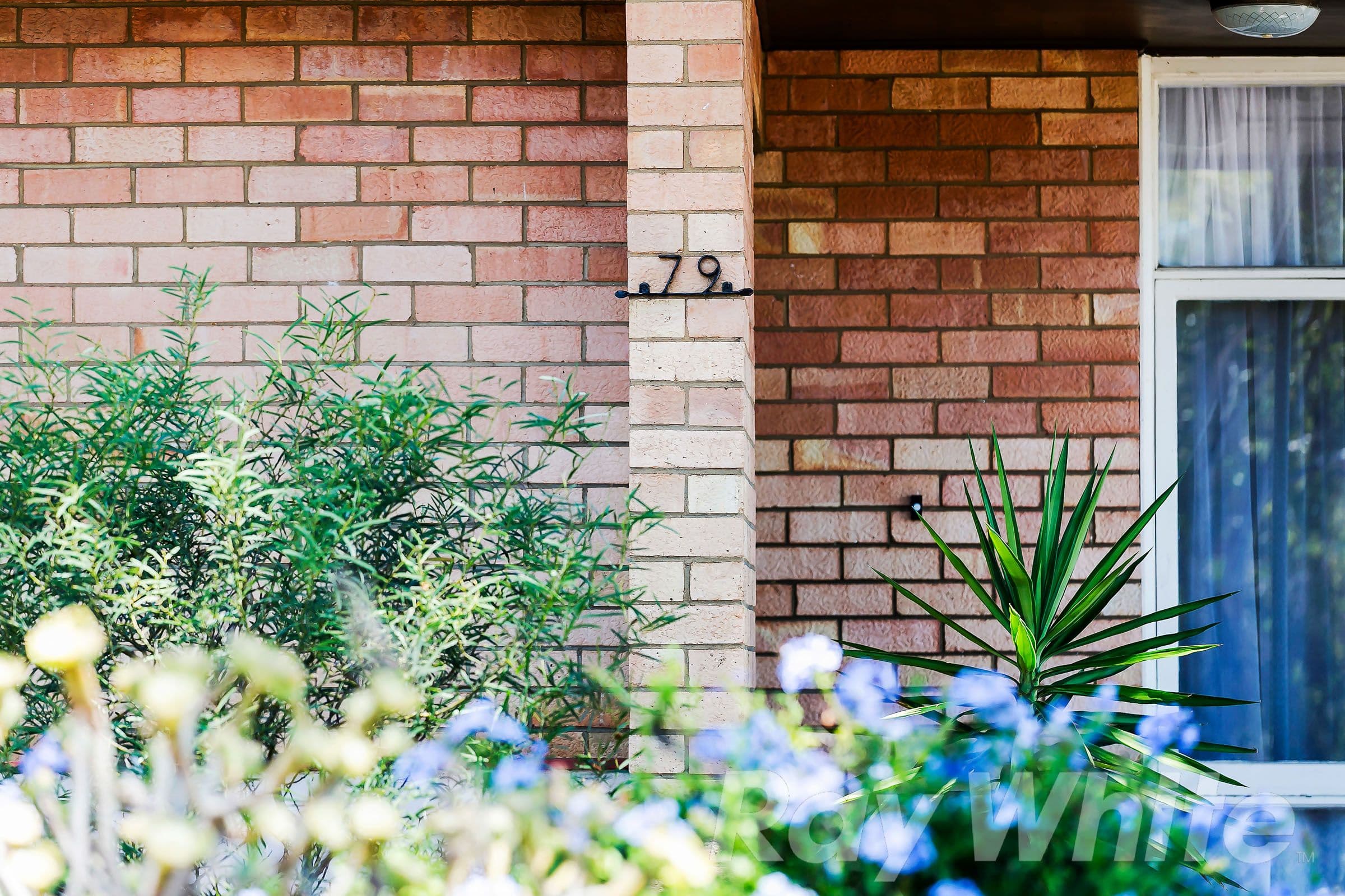 79 Quinlan Avenue, Pasadena SA 5042, Pasadena - Thumbnail 2