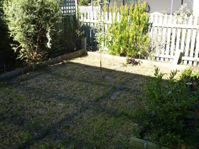 15 Scotsdale Road, Denmark WA 6333, Denmark - Thumbnail 6