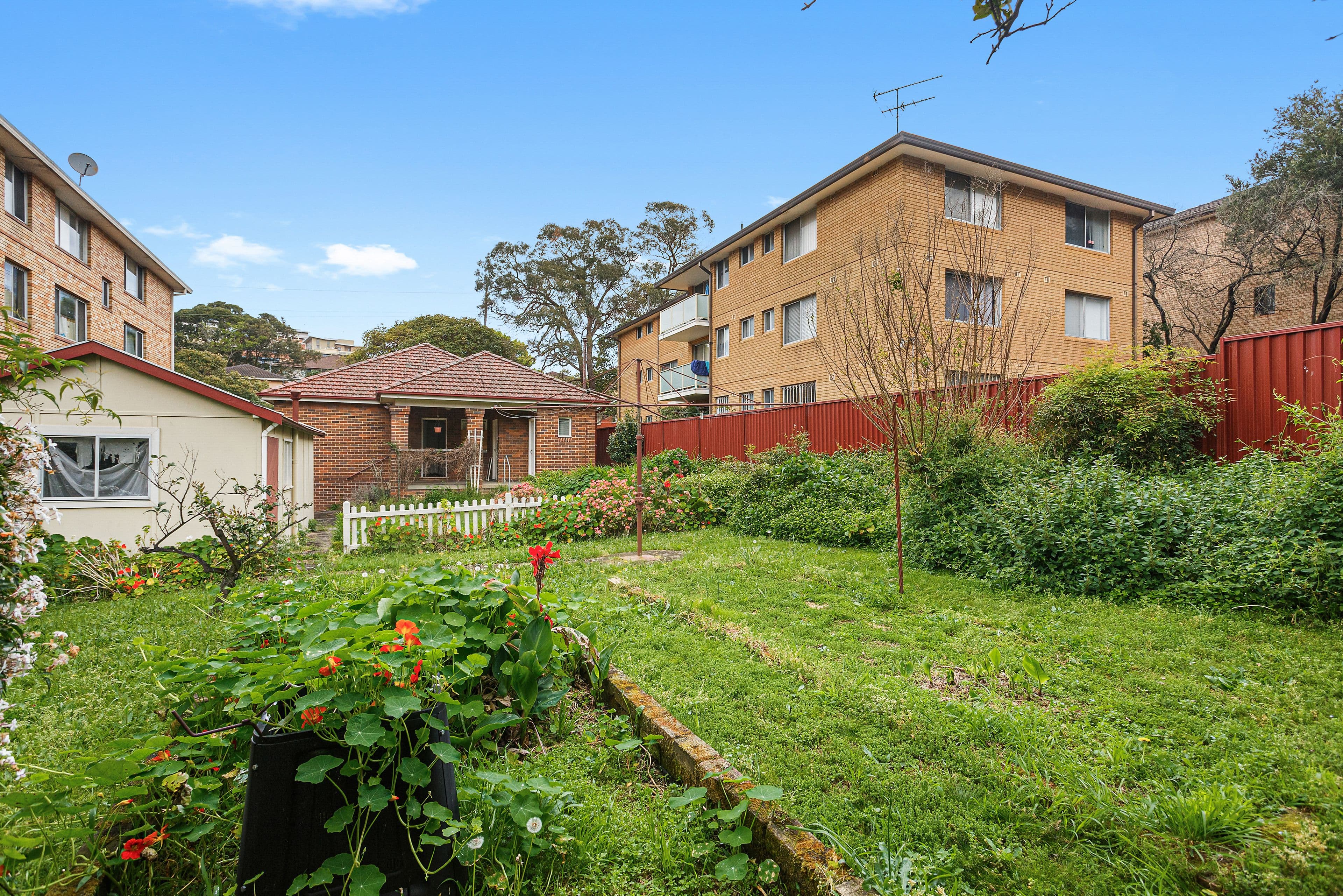 58 The Avenue, Hurstville NSW 2220, Hurstville - Thumbnail 2