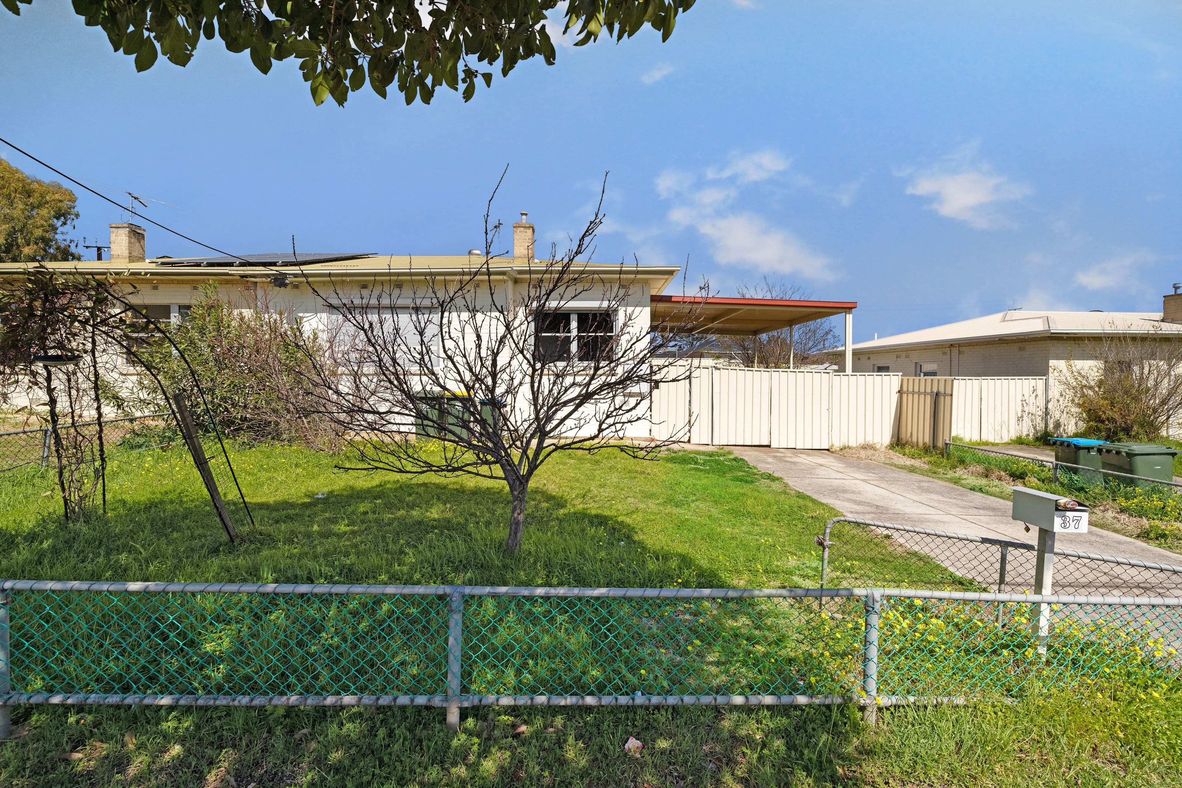 37 Browning Street, Clearview SA 5085, Clearview - Thumbnail 2