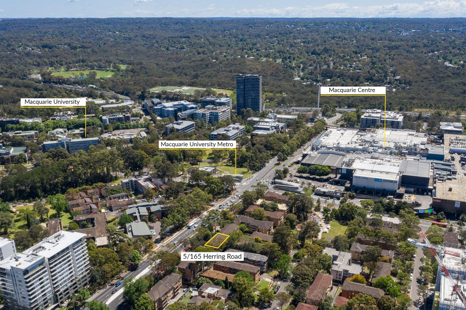 165 Herring Road, Macquarie Park NSW 2113, Macquarie Park - Thumbnail 5