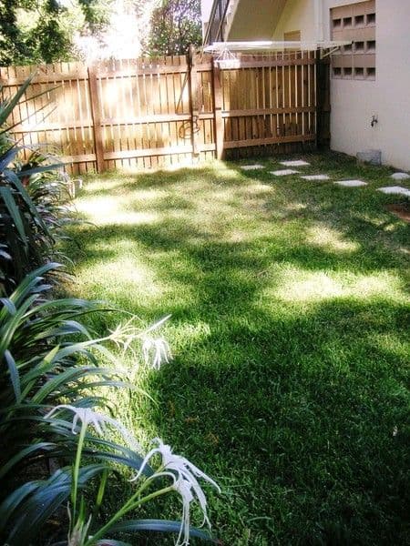 51 Elizabeth Street, TOOWONG QLD 4066, Toowong - Thumbnail 6