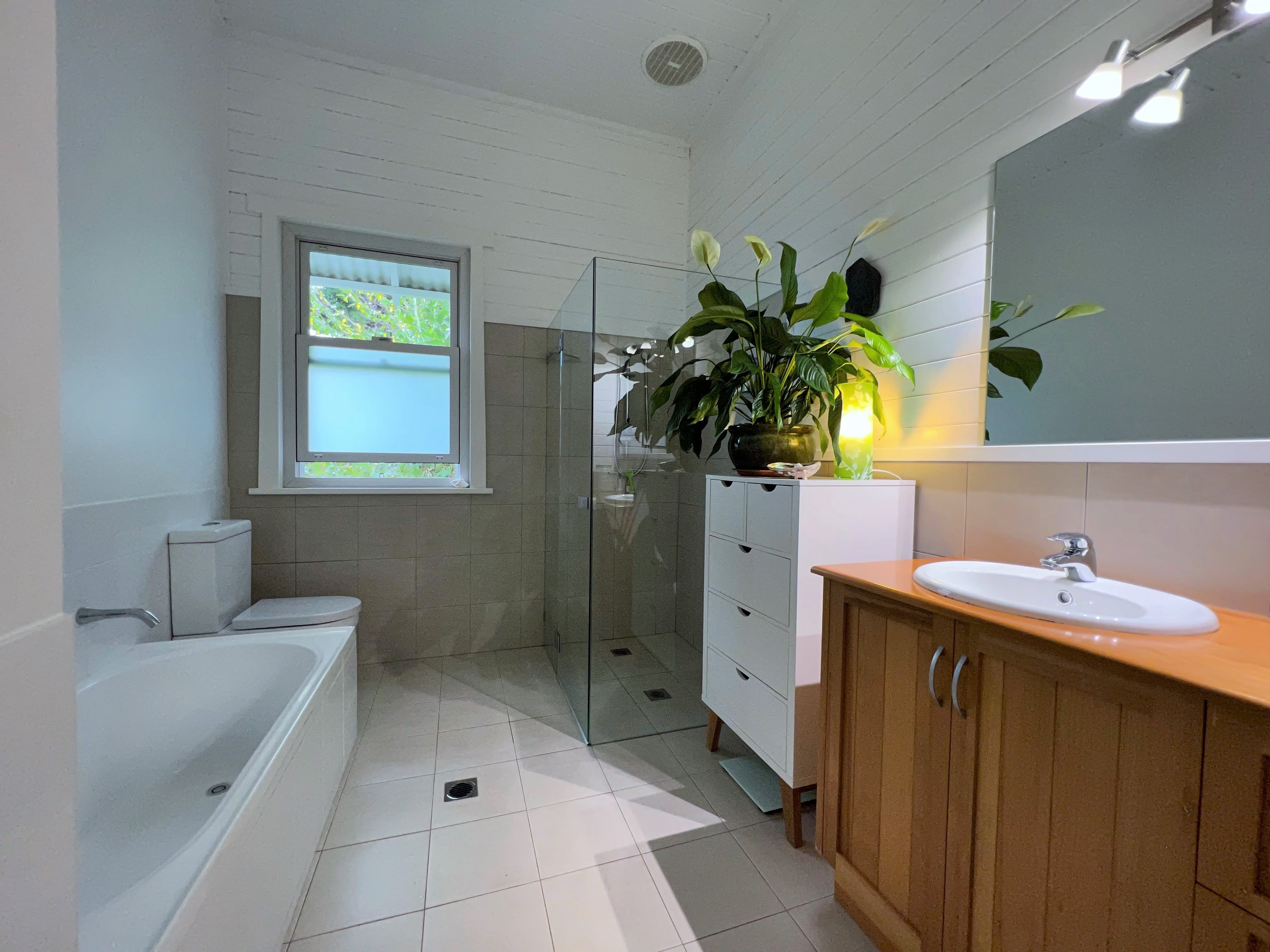 10 Oak Street, Dorrigo NSW 2453, Dorrigo - Thumbnail 8