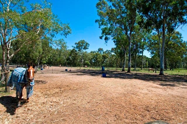 58 Creek Road, BIRKDALE QLD 4159, Birkdale - Thumbnail 3