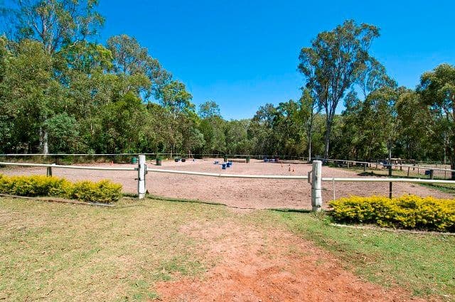 58 Creek Road, BIRKDALE QLD 4159, Birkdale - Thumbnail 4