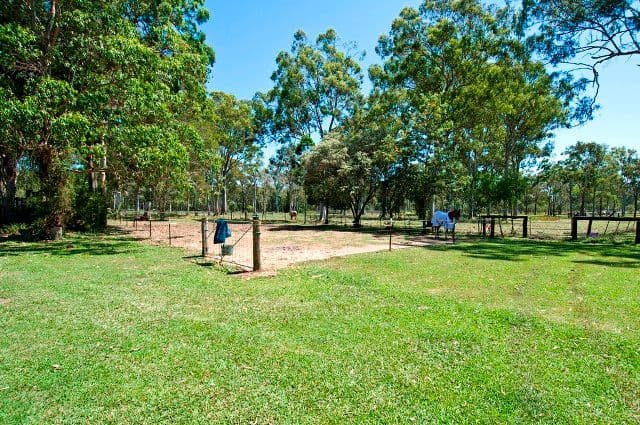 58 Creek Road, BIRKDALE QLD 4159, Birkdale - Thumbnail 5