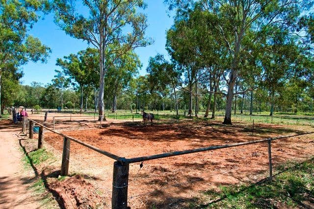58 Creek Road, BIRKDALE QLD 4159, Birkdale - Thumbnail 6