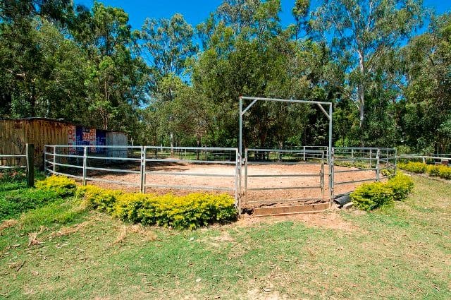 58 Creek Road, BIRKDALE QLD 4159, Birkdale - Thumbnail 7