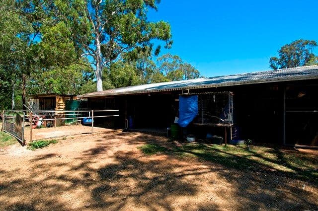 58 Creek Road, BIRKDALE QLD 4159, Birkdale - Thumbnail 8