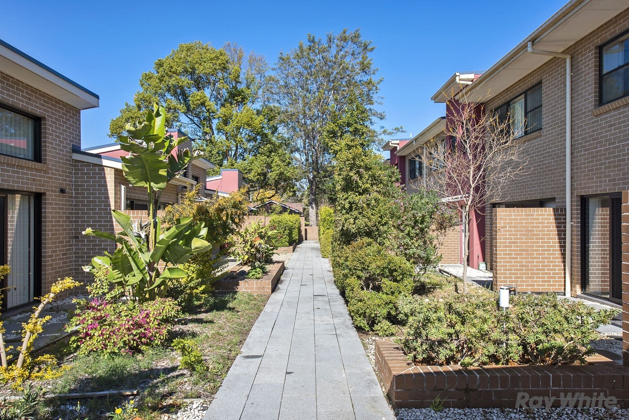 231 Old Northern Road, Castle Hill NSW 2154, Castle Hill - Thumbnail 7