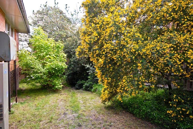 1 Milne Street, TEMPLESTOWE VIC 3106, Templestowe - Thumbnail 3