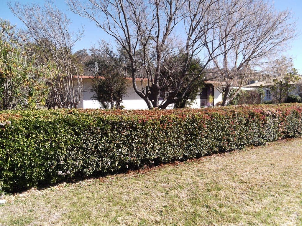 29 Frederick Street, WOOLOMIN NSW 2340, Woolomin - Image 1