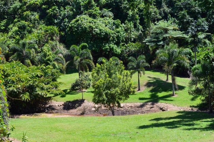 18 Unsworth Drive, Mission Beach QLD 4852, Mission Beach - Thumbnail 2