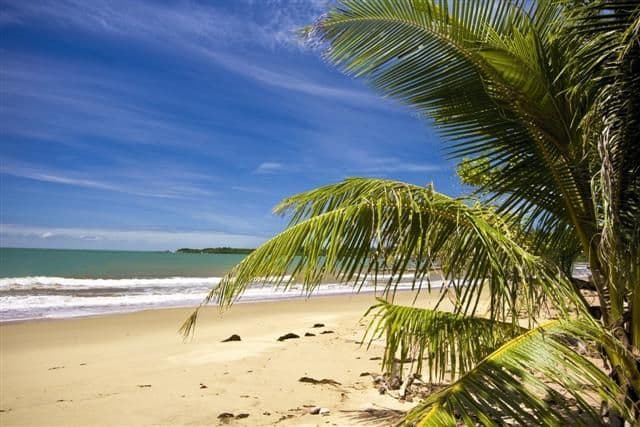 18 Unsworth Drive, Mission Beach QLD 4852, Mission Beach - Thumbnail 5