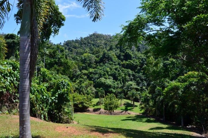 18 Unsworth Drive, Mission Beach QLD 4852, Mission Beach - Thumbnail 6