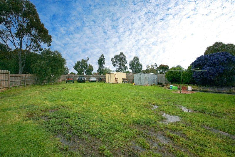 11 Wills Court, CRANBOURNE VIC 3977, Cranbourne North - Thumbnail 4