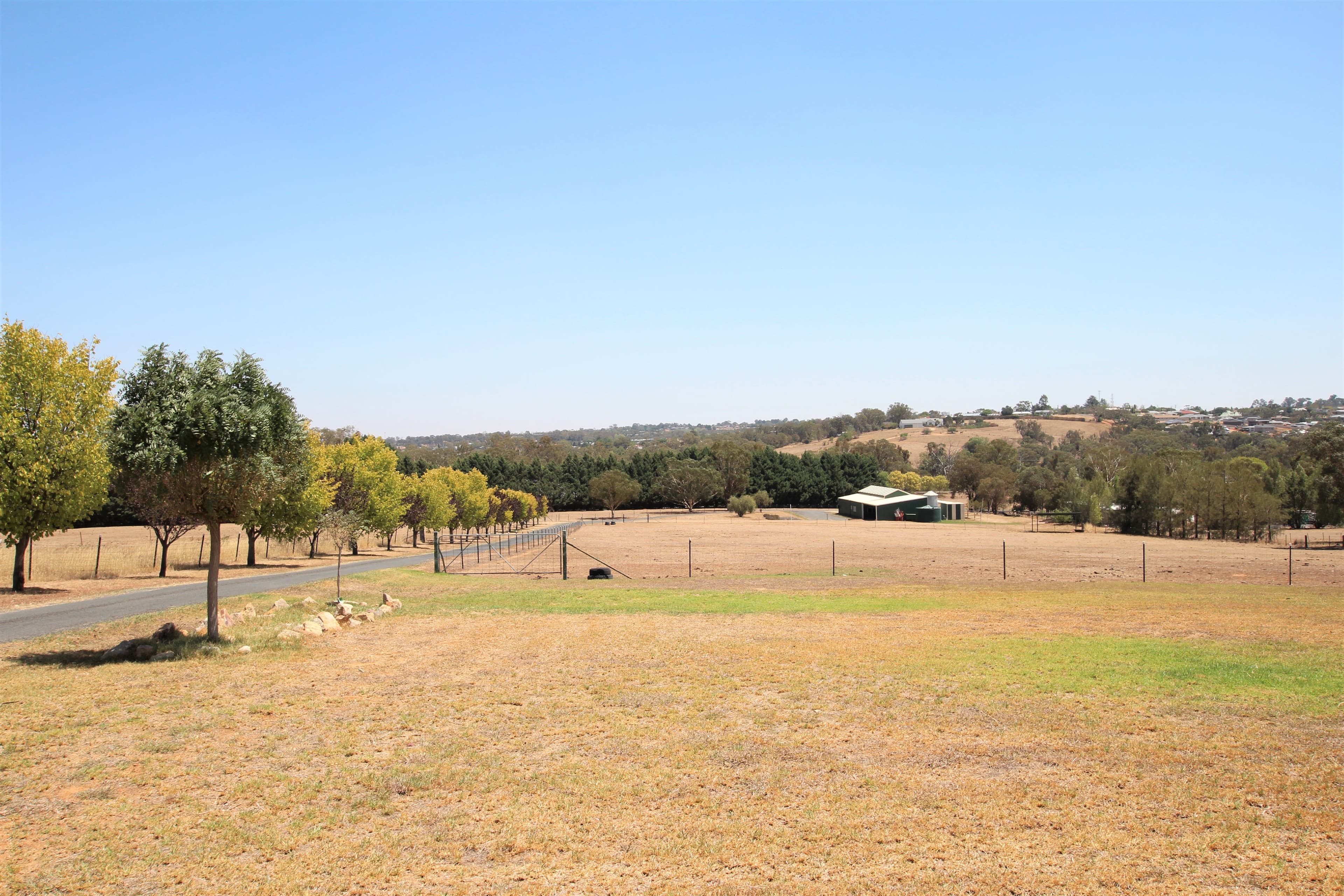 64 Chums Lane, Young NSW 2594, Young - Thumbnail 3