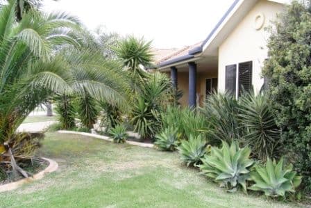 72  Saville Avenue, LAVINGTON NSW 2641, Lavington - Thumbnail 5