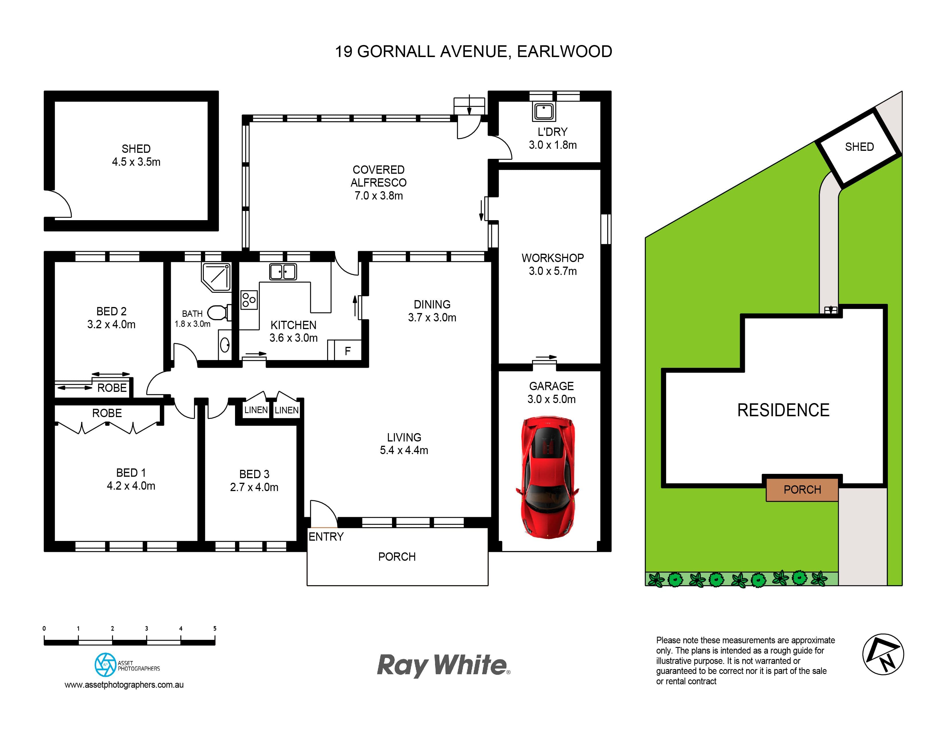 19 Gornall Avenue, Earlwood NSW 2206, Earlwood - Thumbnail 8