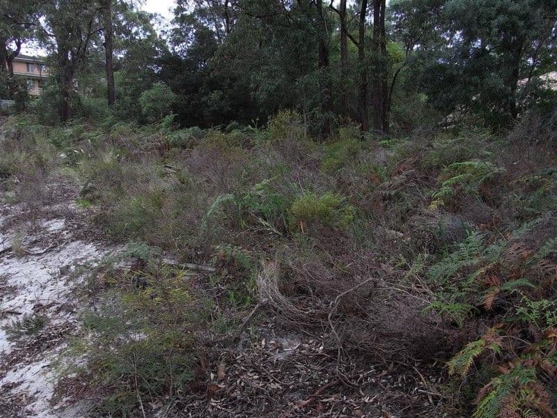 65 Wallawa Road, NELSON BAY NSW 2315, Nelson Bay - Thumbnail 2