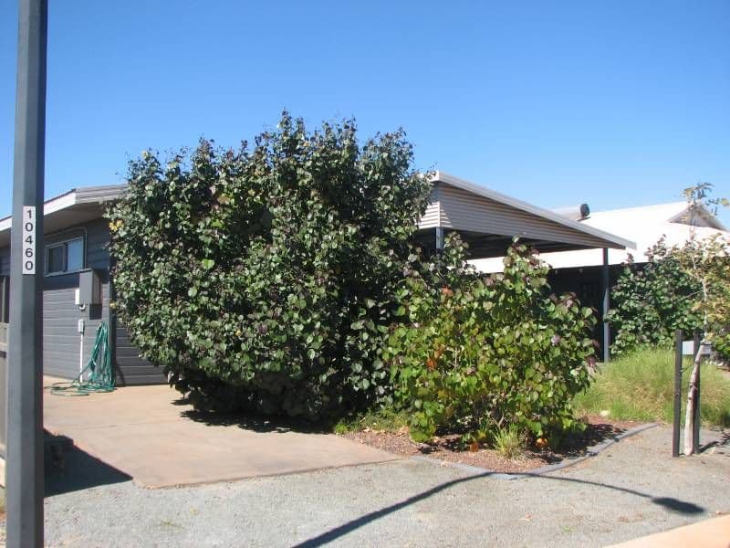 107 Marniyarra Loop, Baynton WA 6714, Baynton - Thumbnail 5