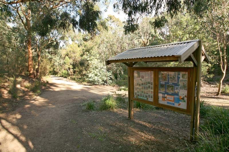 105 Stephensons Road, MOUNT WAVERLEY VIC 3149, Mount Waverley - Thumbnail 6