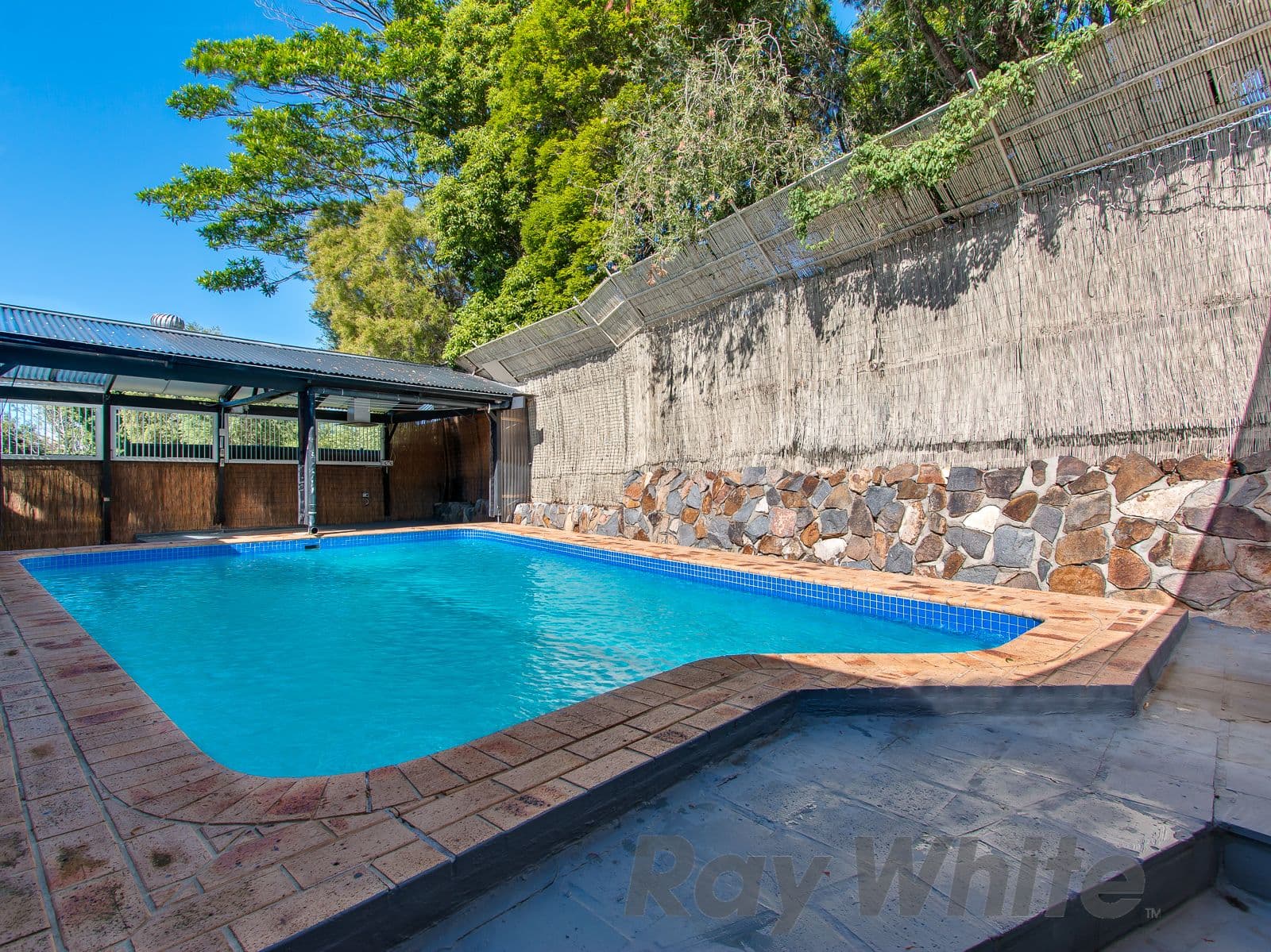 33 Kananook Crescent, Belmont North - Thumbnail 5