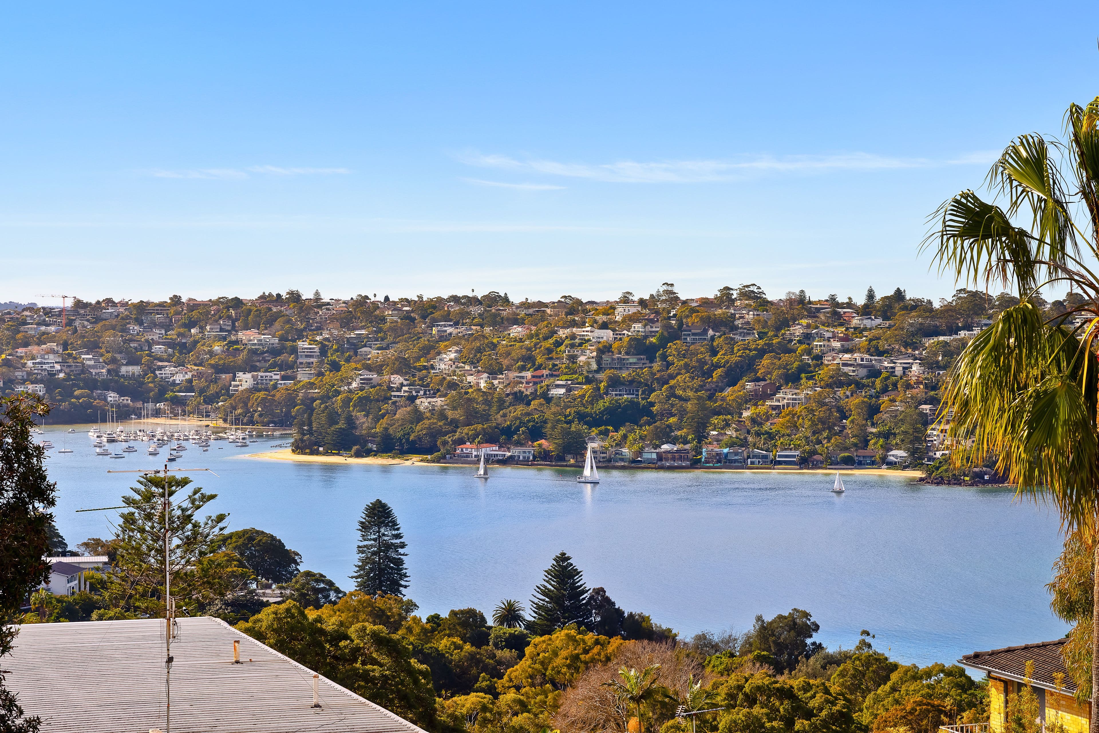 39 Stanton Road, Mosman NSW 2088, Mosman - Thumbnail 3