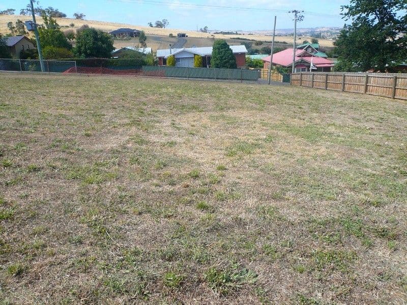 31 Benvenue Road, ST LEONARDS TAS 7250, St Leonards - Thumbnail 2