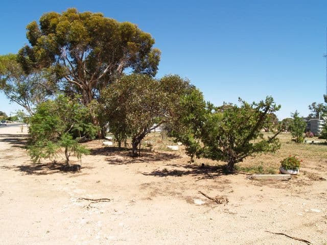 20 Seventh Street, MORGAN SA 5320, Morgan - Thumbnail 6