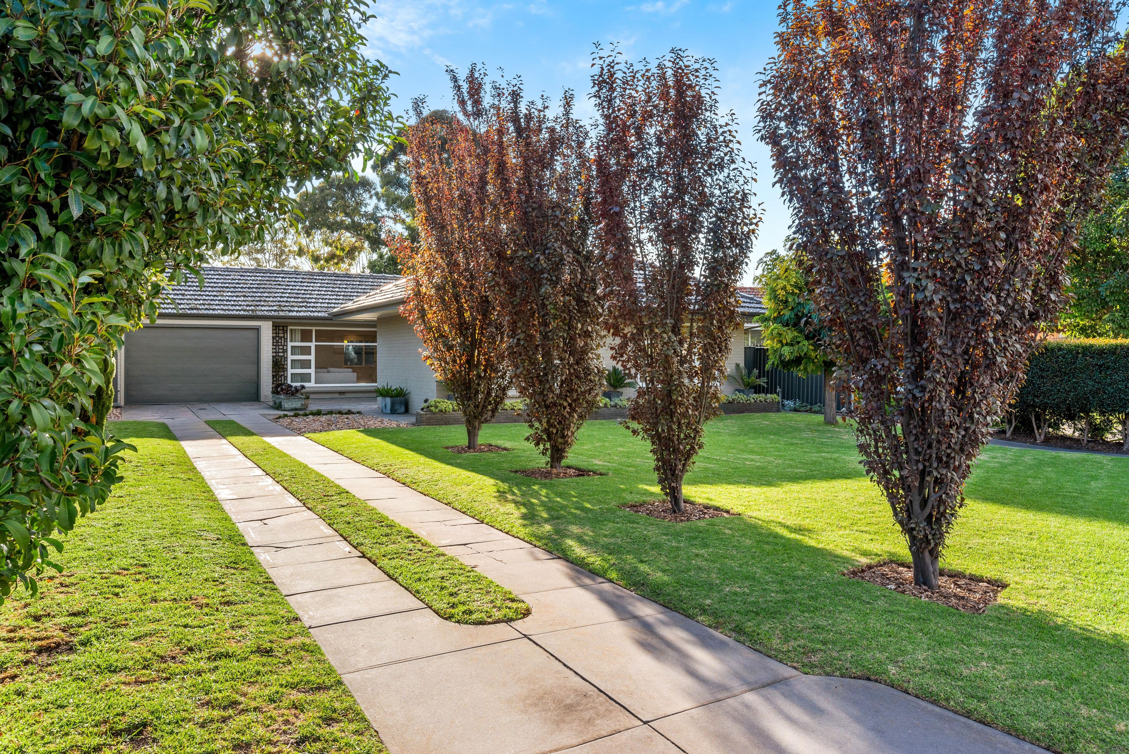 5 Russo Court, Fulham SA 5024, Fulham - Thumbnail 2