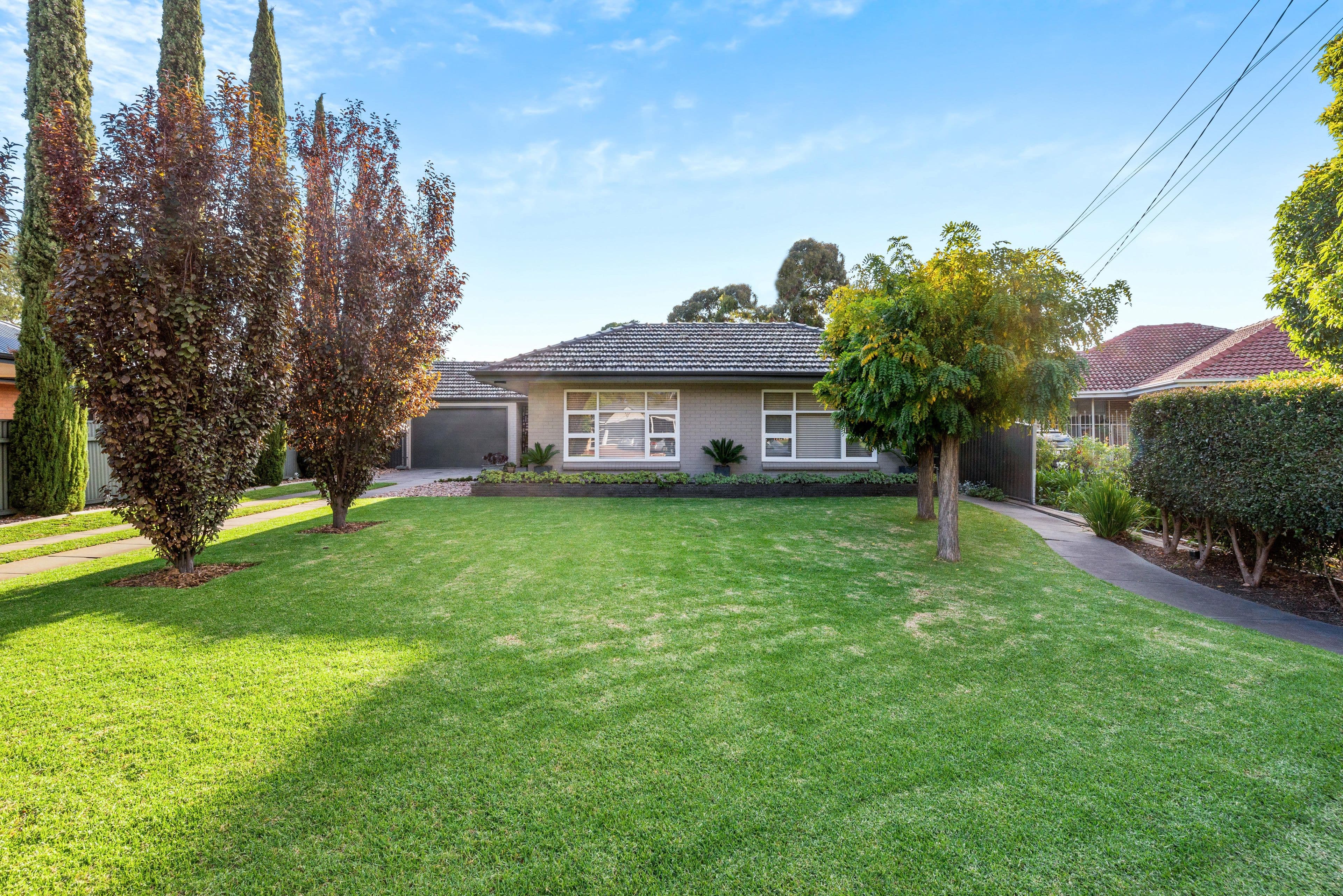 5 Russo Court, Fulham SA 5024, Fulham - Thumbnail 3