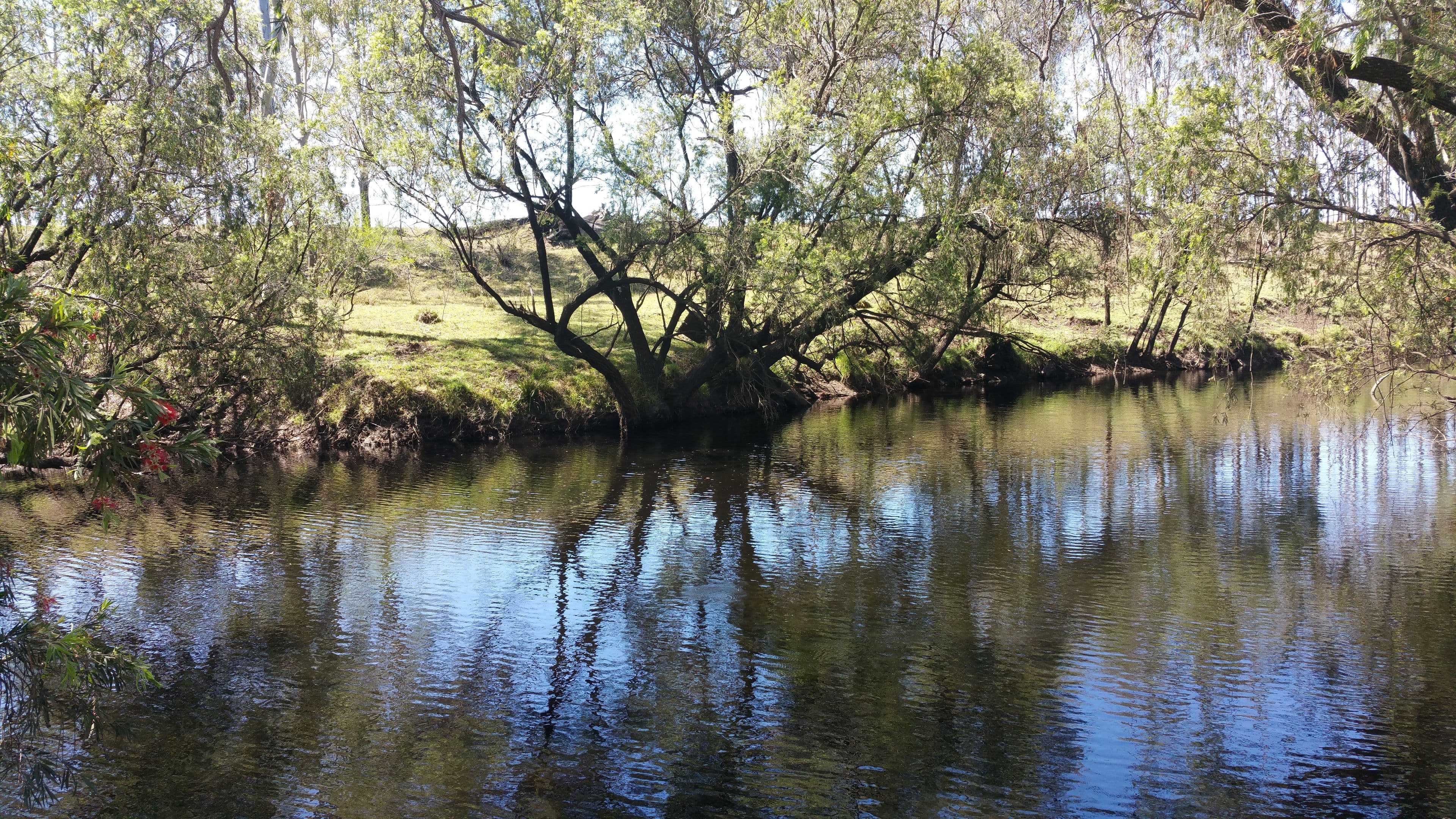 1082 Rosewood Warrill View Road, Lower Mount Walker QLD 4340, Lower Mount Walker - Thumbnail 2