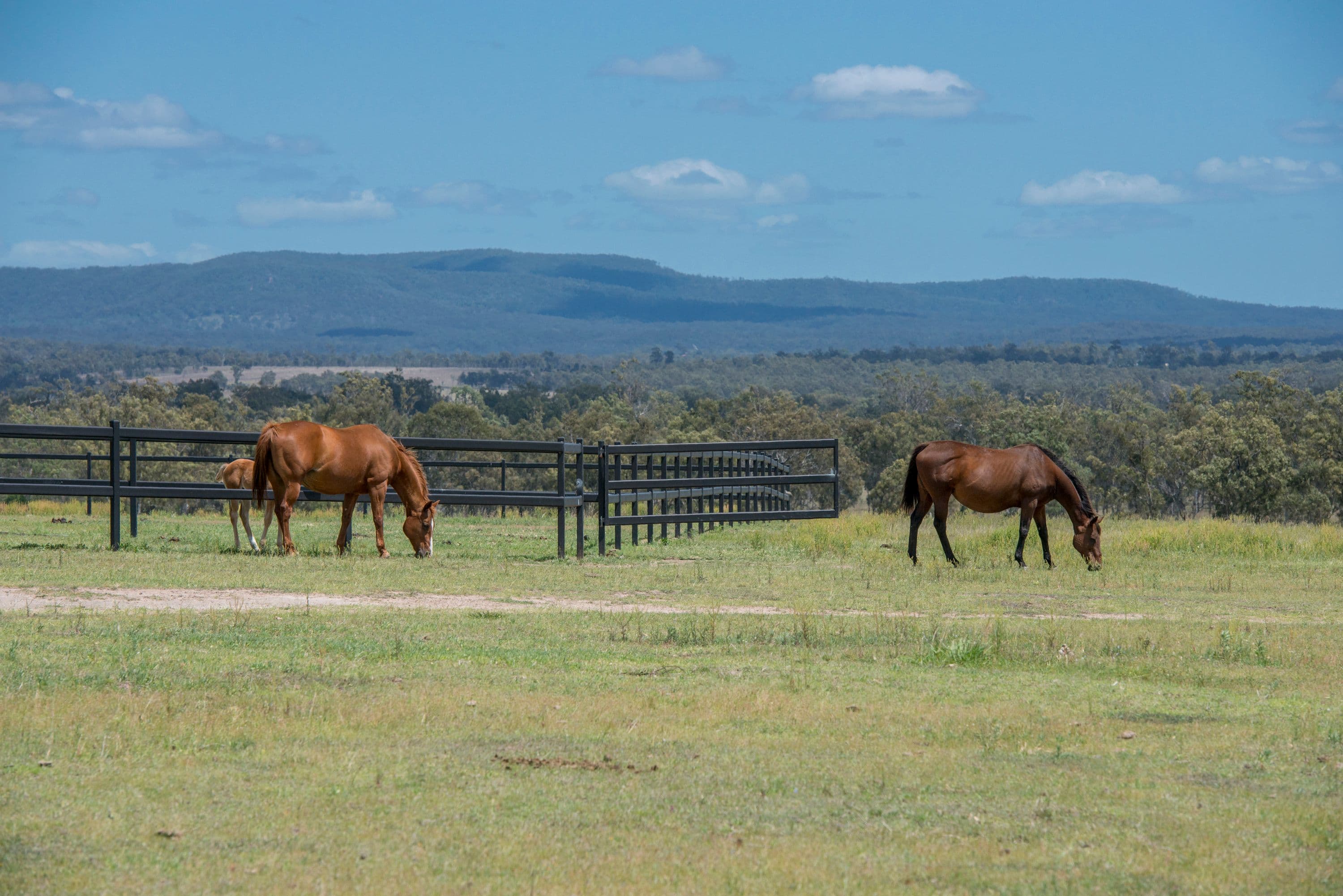 1082 Rosewood Warrill View Road, Lower Mount Walker QLD 4340, Lower Mount Walker - Thumbnail 8