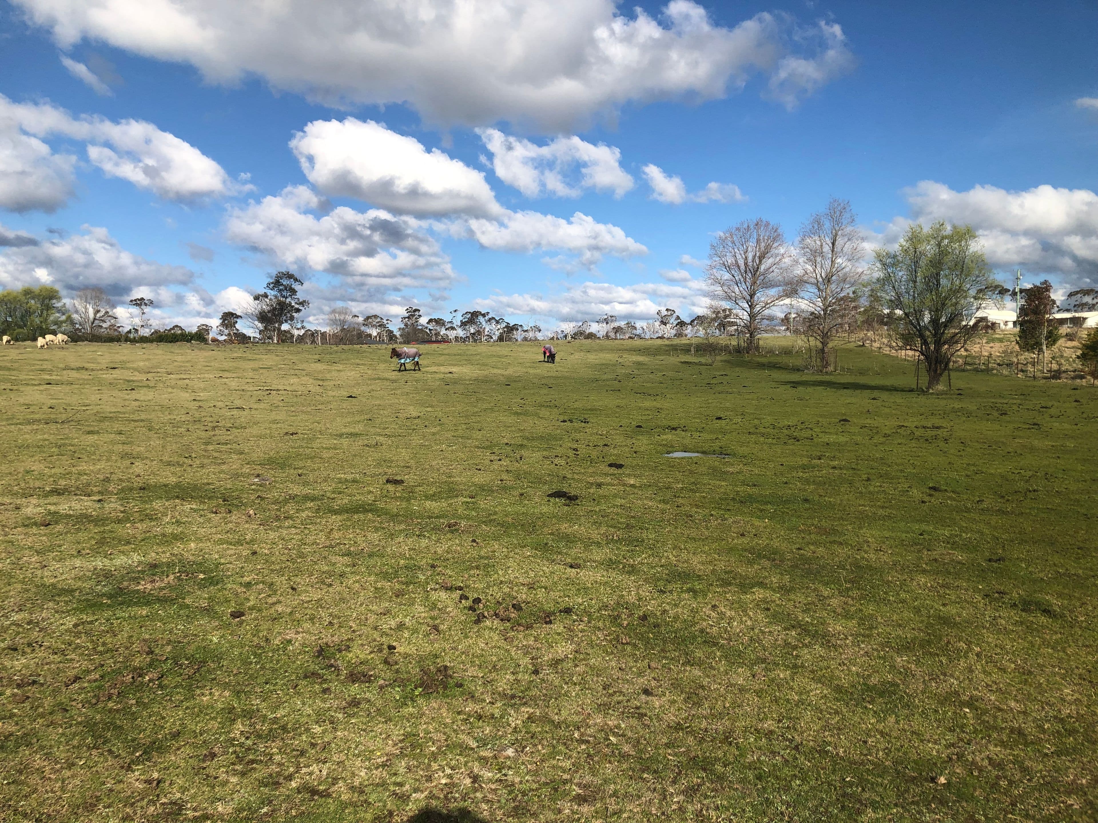 30 Sunnyview Drive, Glen Innes NSW 2370, Glen Innes - Thumbnail 5