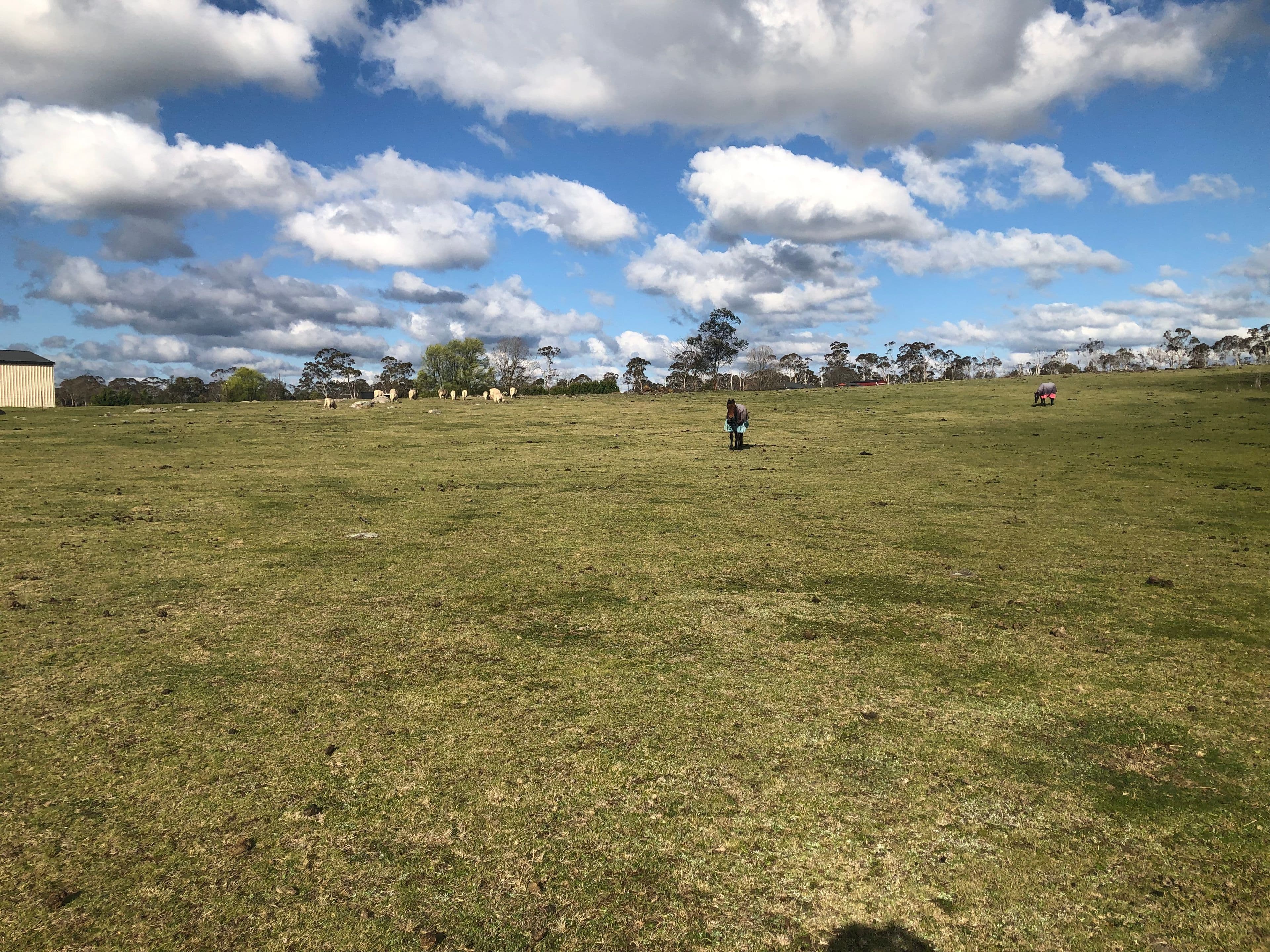 30 Sunnyview Drive, Glen Innes NSW 2370, Glen Innes - Thumbnail 8