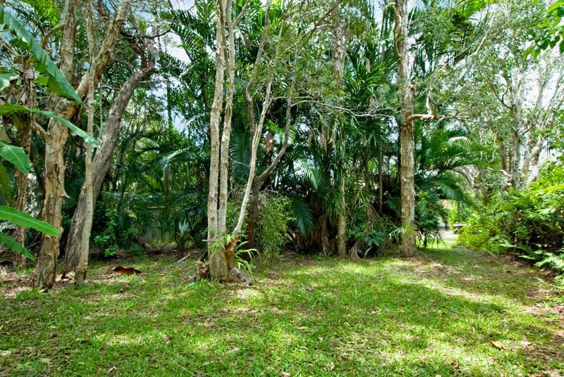 15  Lawley Street, DICKY BEACH QLD 4551, Dicky Beach - Thumbnail 8