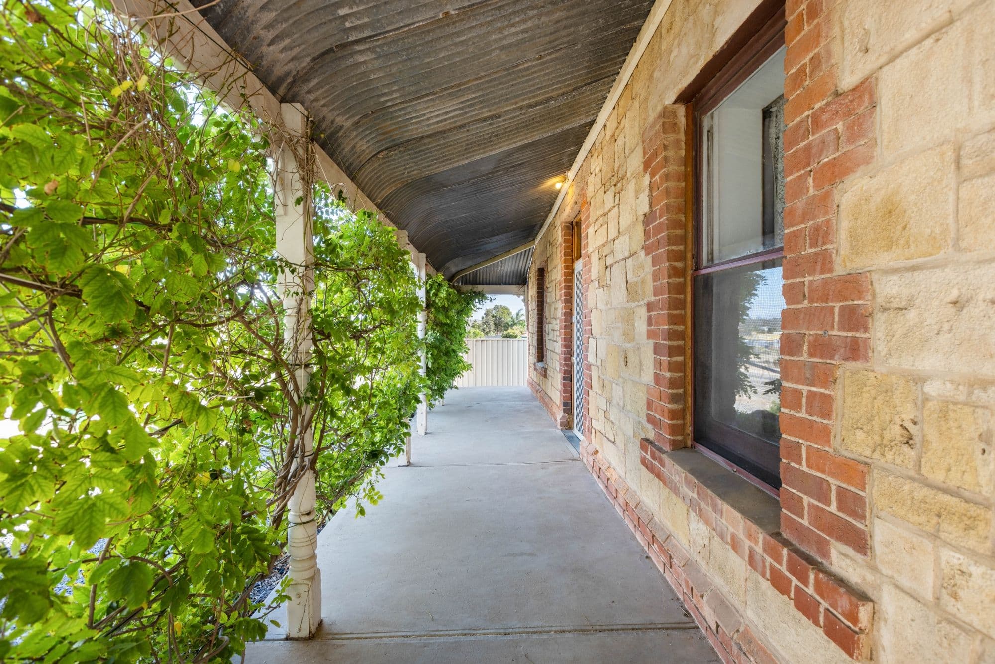 145 Thomas Street, Murray Bridge SA 5253, Murray Bridge - Thumbnail 3