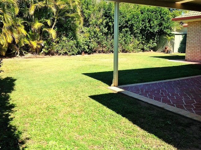 5 Paulina Street, Wellington Point QLD 4160, Wellington Point - Thumbnail 3