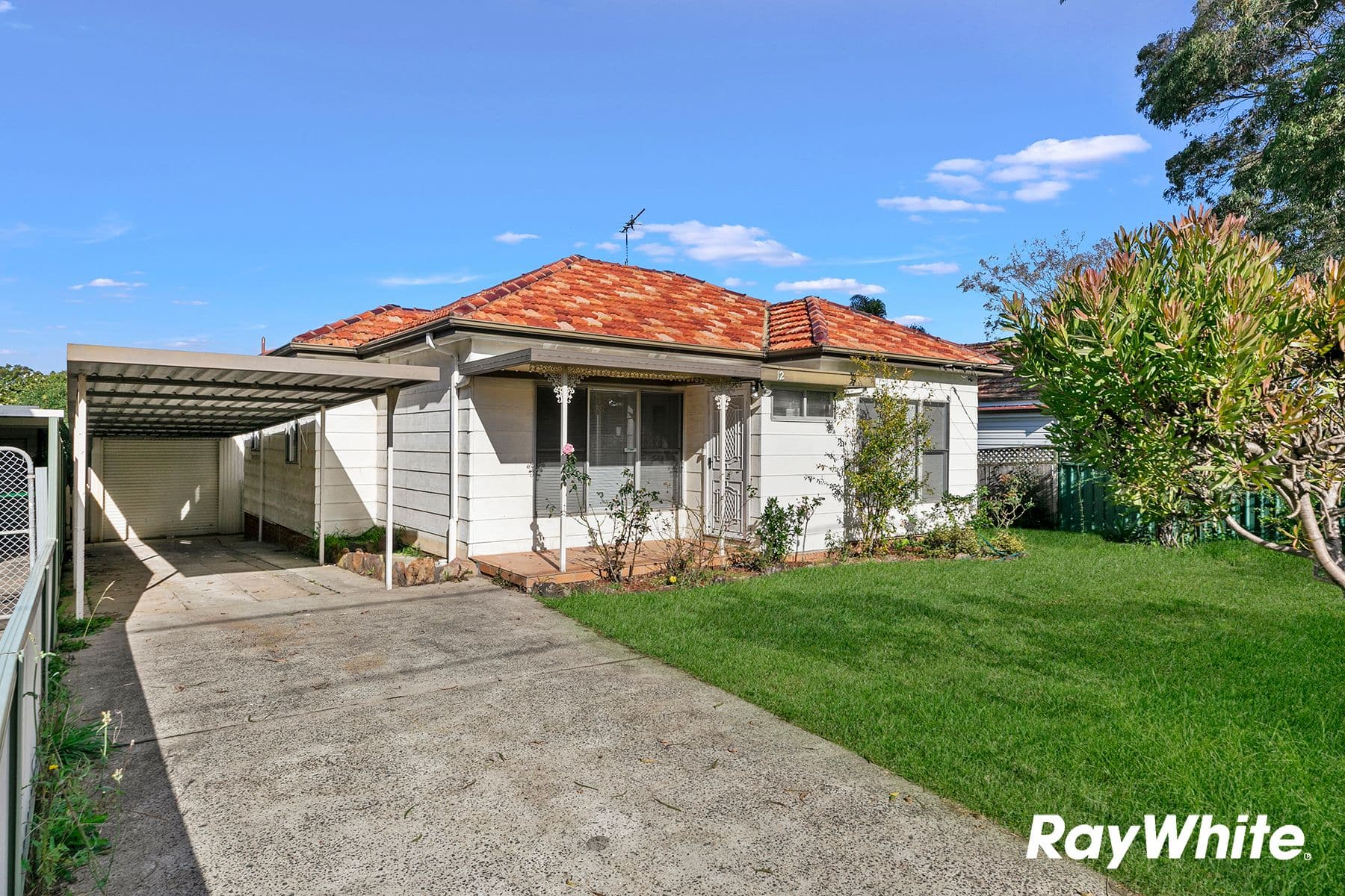 12 Patrick Street, Punchbowl NSW 2196, Punchbowl - Thumbnail 3