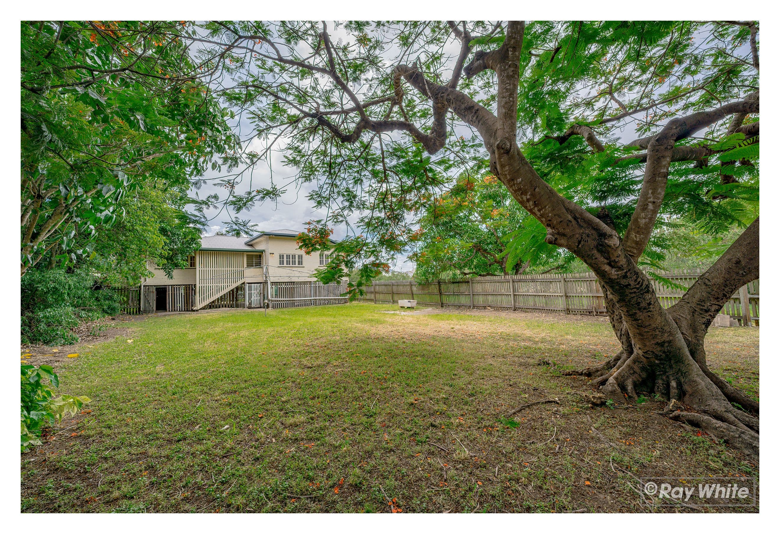 26 Alma Street, Rockhampton City QLD 4700, Rockhampton City - Thumbnail 3